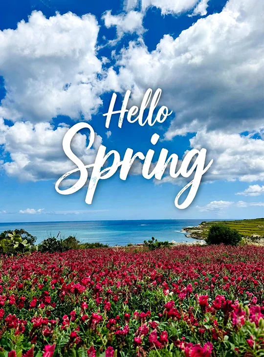 Hello Spring over a scenic Malta coastline with blooming pink wildflowers, blue Mediterranean Sea, and a bright sky with white clouds.